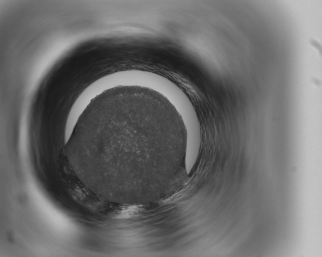 X0000096480382200802141727