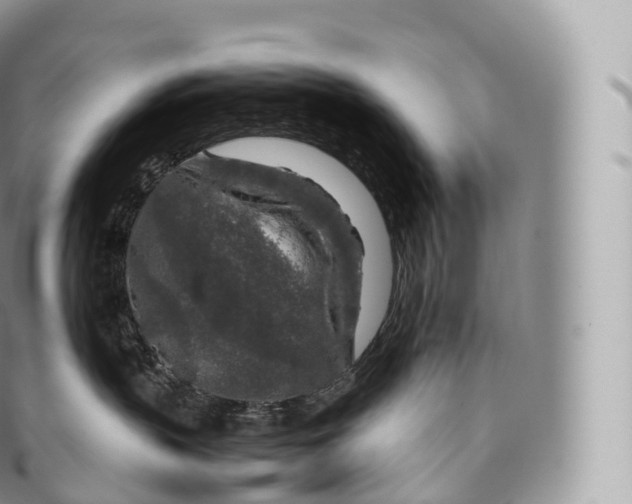 X0000096480383200802141727