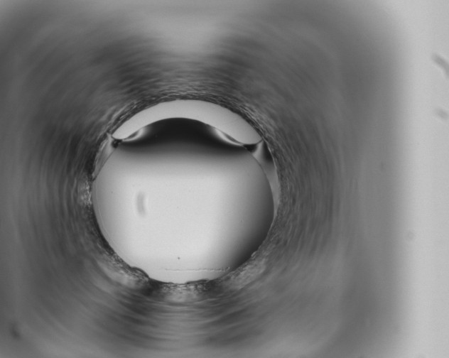 X0000096480384200802141727