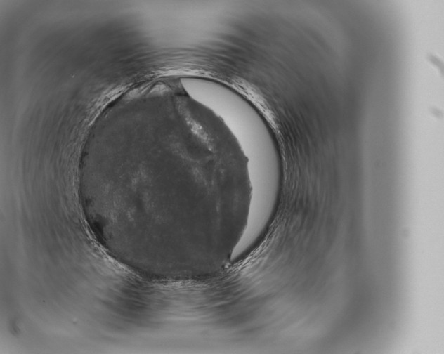 X0000096480385200802141727