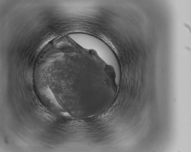 X0000096480386200802141727