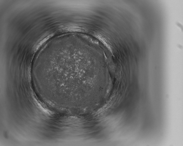 X0000096480390200802141727