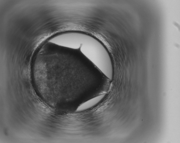 X0000096480391200802141727