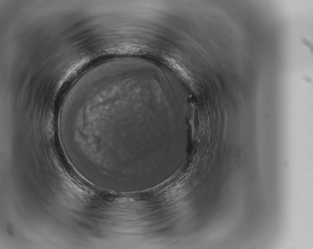 X0000096480392200802141727