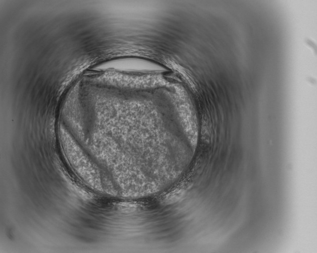 X0000096480394200802141727