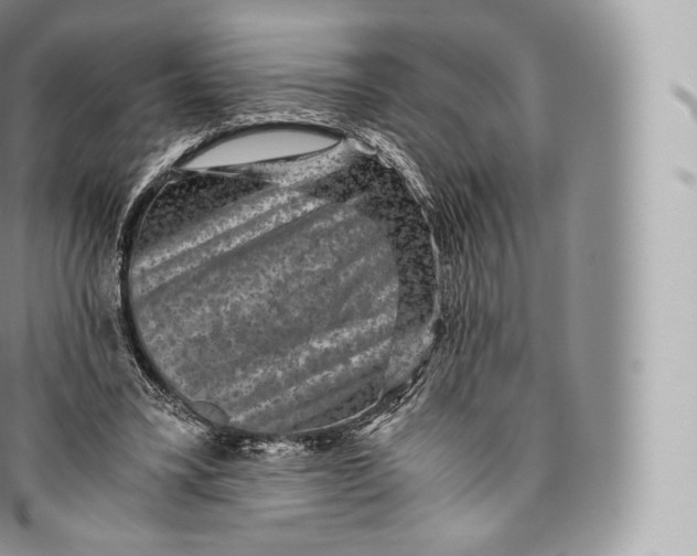 X0000096480395200802141726