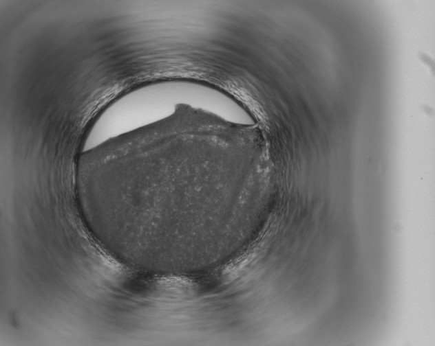 X0000096480397200802141726