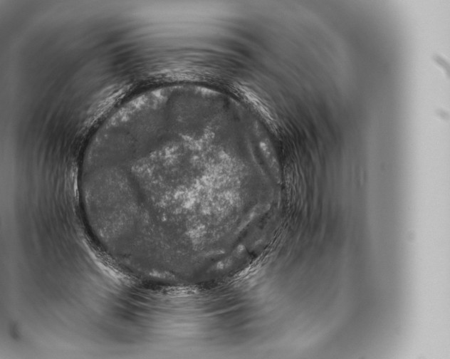 X0000096480398200802141726