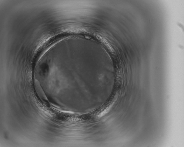 X0000096480399200802141726