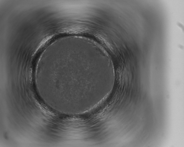 X0000096480400200802141726