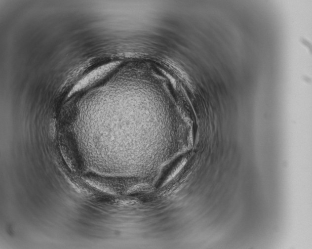 X0000096480401200802141726