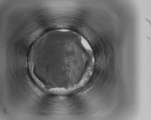 X0000096480402200802141726