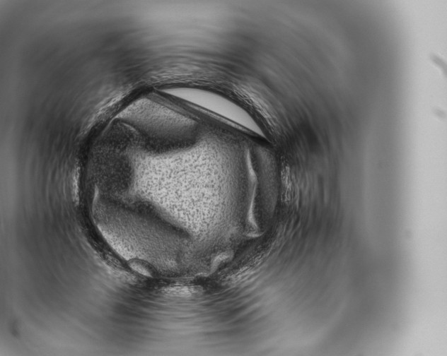 X0000096480404200802141726