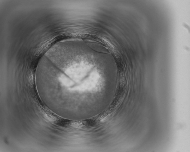 X0000096480405200802141726