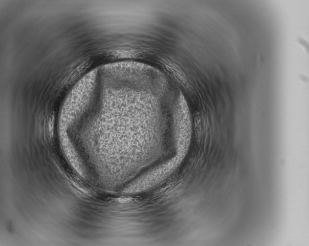 X0000096480406200802141726