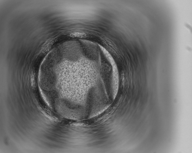 X0000096480408200802141726