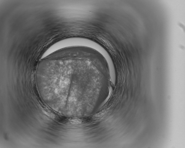 X0000096480409200802141726