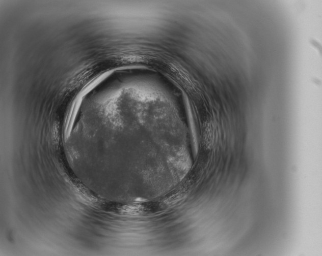 X0000096480410200802141726