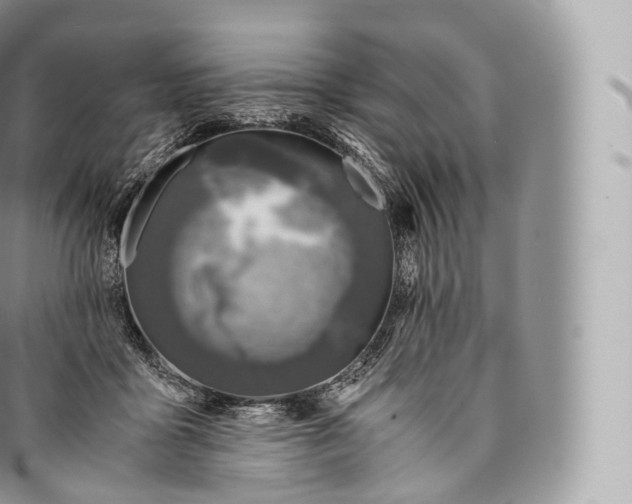 X0000096480411200802141726