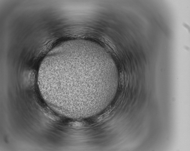 X0000096480412200802141726