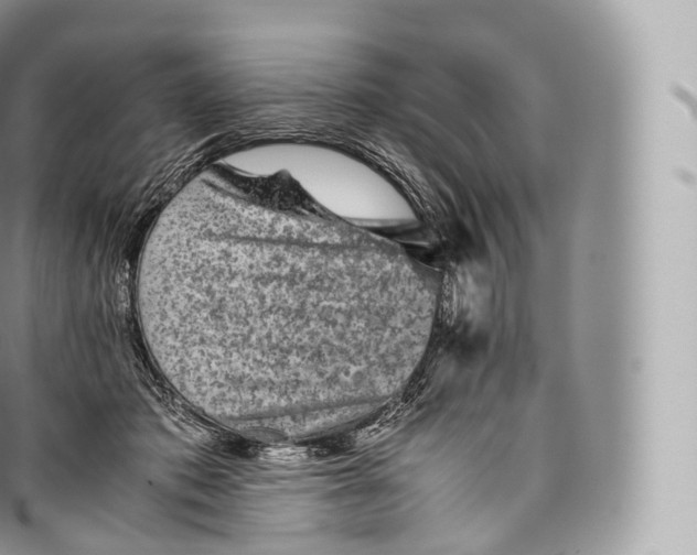 X0000096480413200802141726