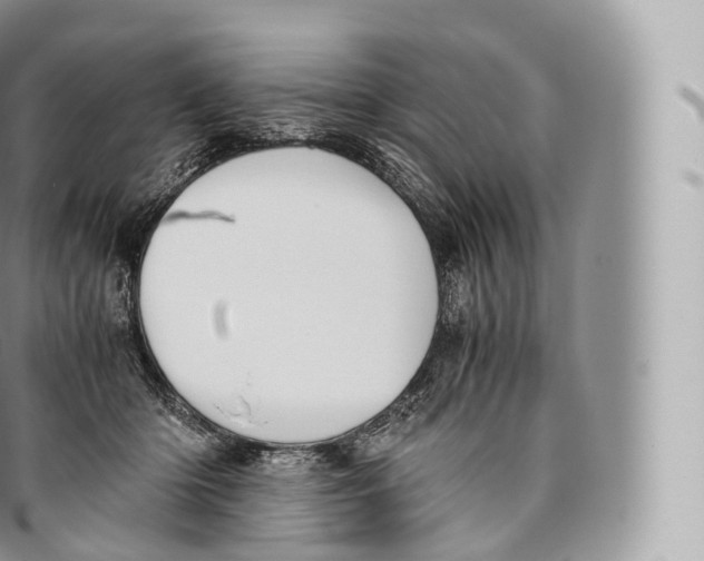 X0000096480414200802141726