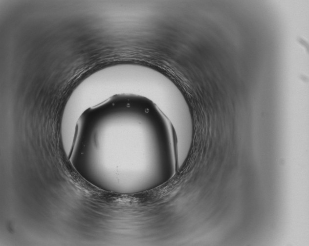 X0000096480415200802141726