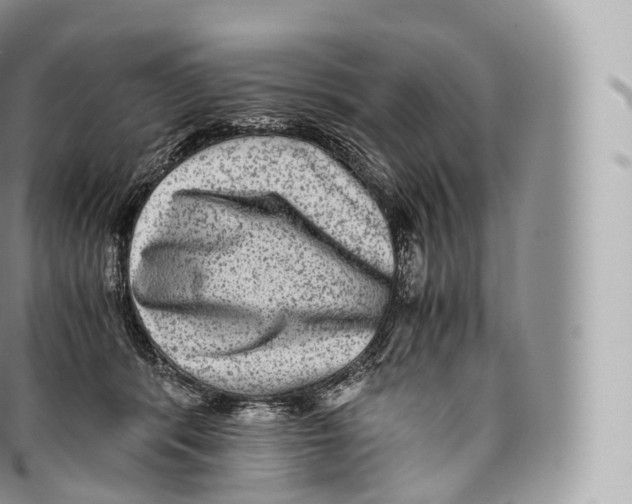 X0000096480416200802141726