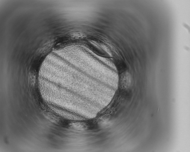 X0000096480417200802141726