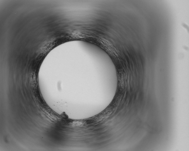 X0000096480418200802141726