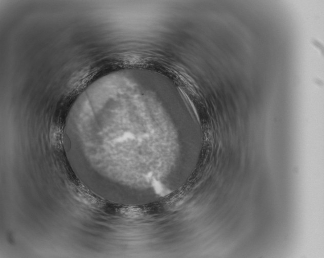 X0000096480419200802141726