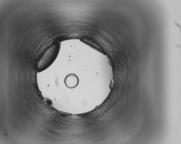 X0000096480421200802141726