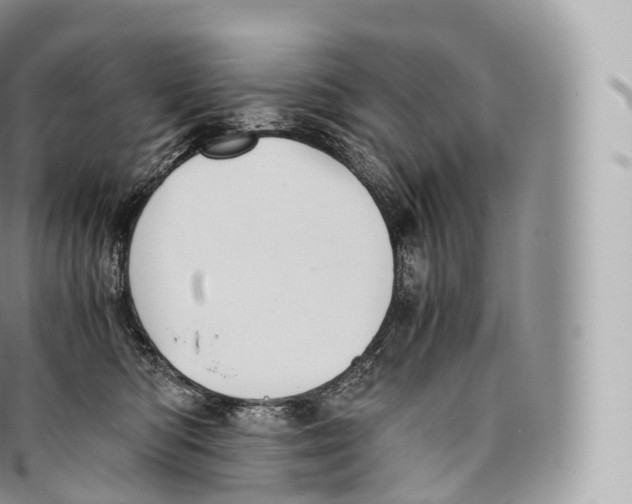 X0000096480422200802141726