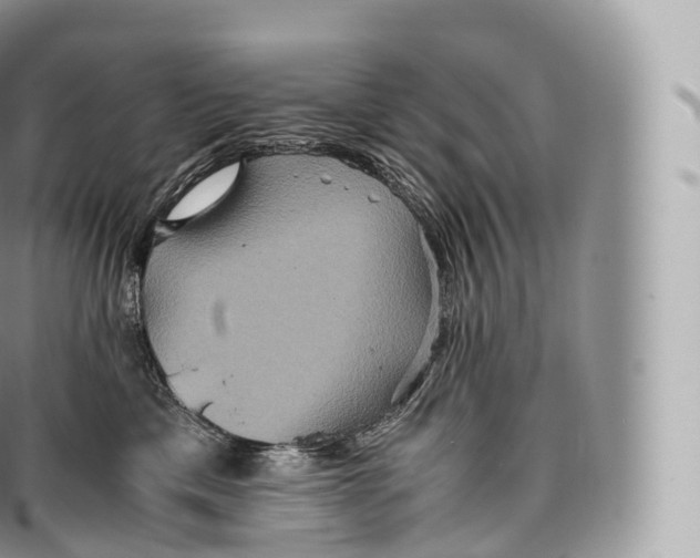 X0000096480425200802141726