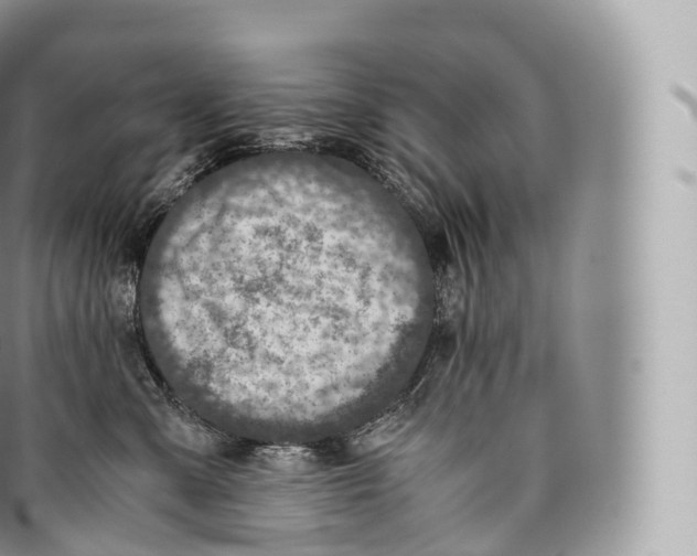 X0000096480427200802141726