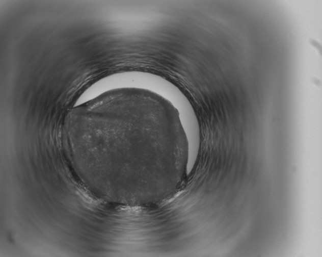 X0000096480428200802141726