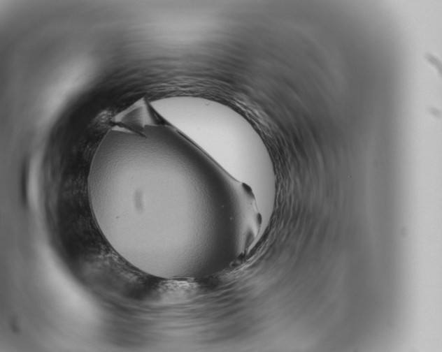 X0000096480429200802141726