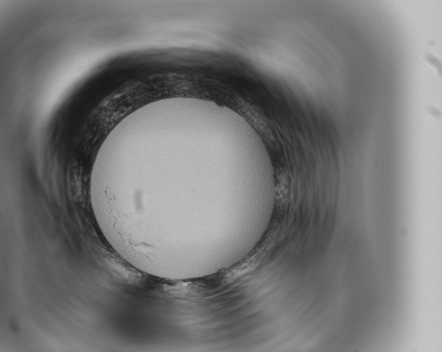 X0000096480430200802141726