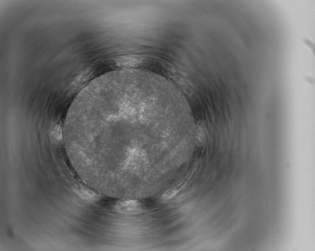 X0000096480431200802141726