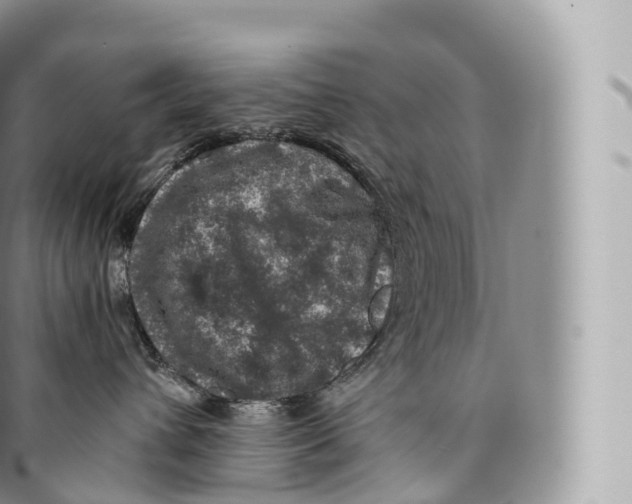 X0000096480432200802141726