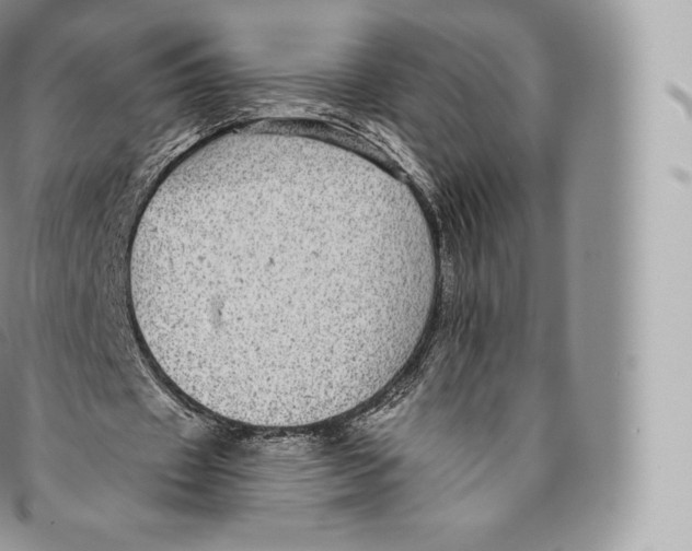 X0000096480433200802141725