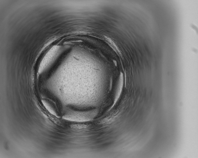 X0000096480435200802141725