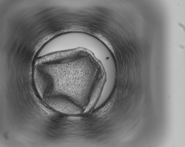 X0000096480437200802141725