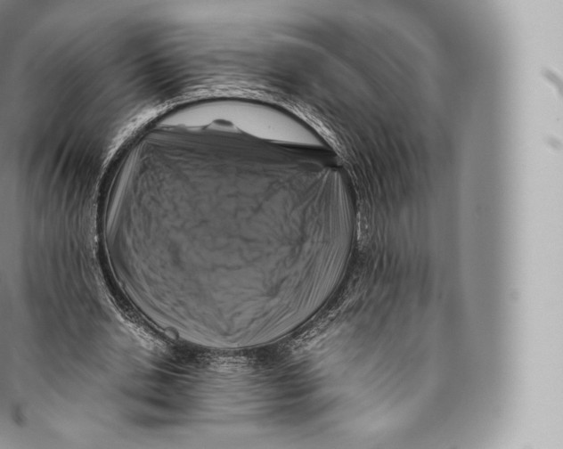 X0000096480438200802141725