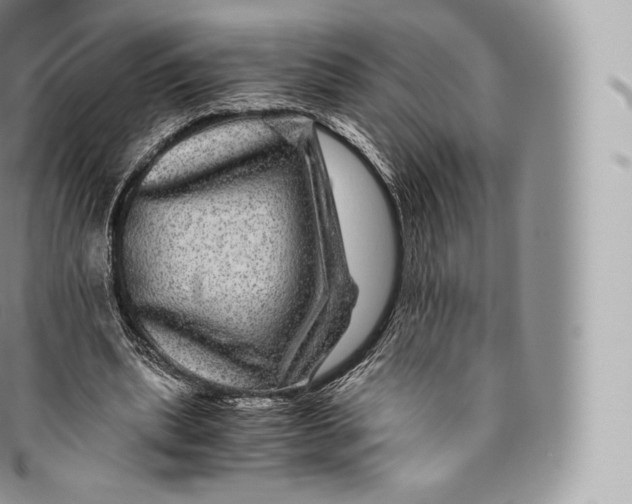 X0000096480439200802141725