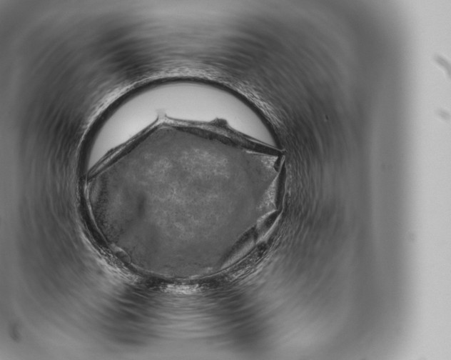 X0000096480440200802141725