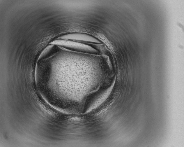 X0000096480441200802141725