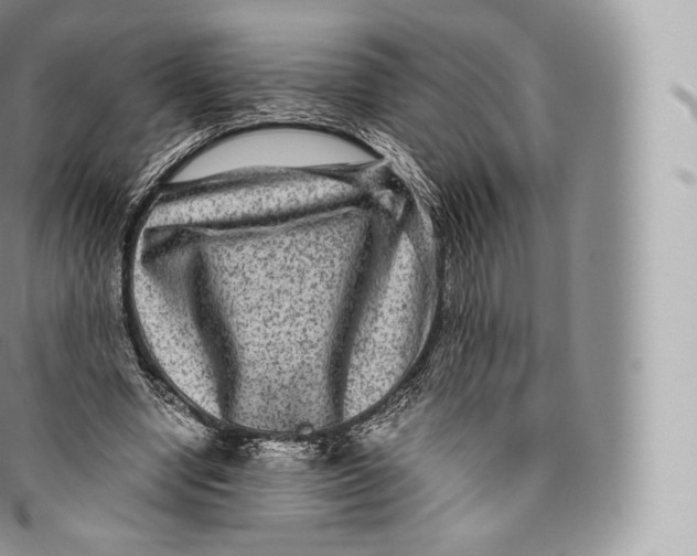 X0000096480442200802141725