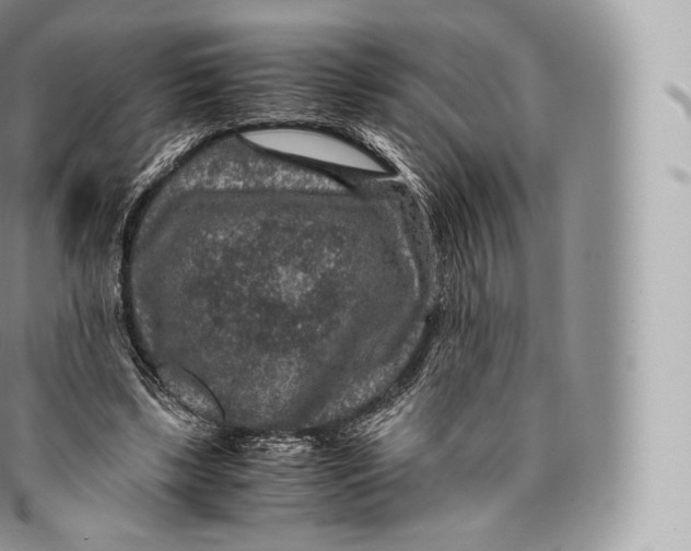 X0000096480443200802141725