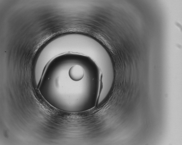 X0000096480444200802141725